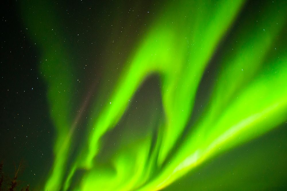 USA-Alaska-Chena Hot Springs Resort Aurora borealis fills night sky